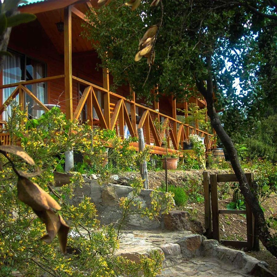 Las Lomitas De Guayacan, Cabanas Y Spa San José de Maipo Buitenkant foto