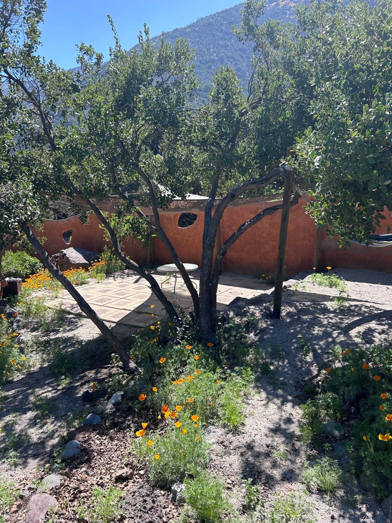Las Lomitas De Guayacan, Cabanas Y Spa San José de Maipo Buitenkant foto