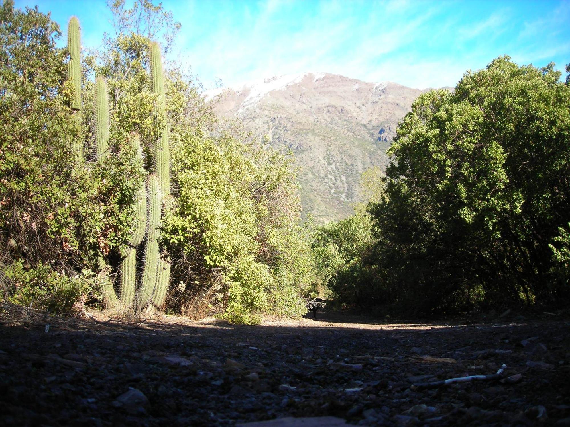 Las Lomitas De Guayacan, Cabanas Y Spa San José de Maipo Buitenkant foto